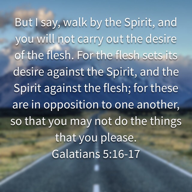Galatians 5 16 17 Daily Devotional In Christ