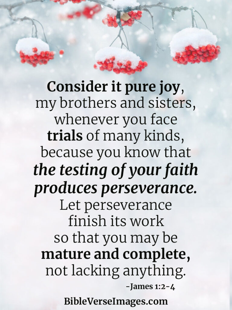 James 1 2 4 Daily Devotional In Christ