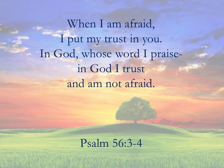Psalms 56 3 4 Daily Devotional In Christ