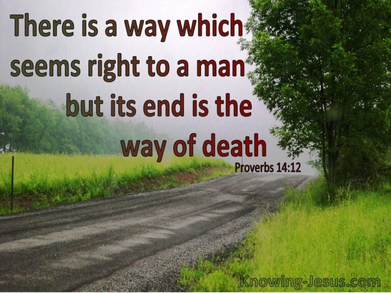 Proverbs 14 12 daily devotional in christ