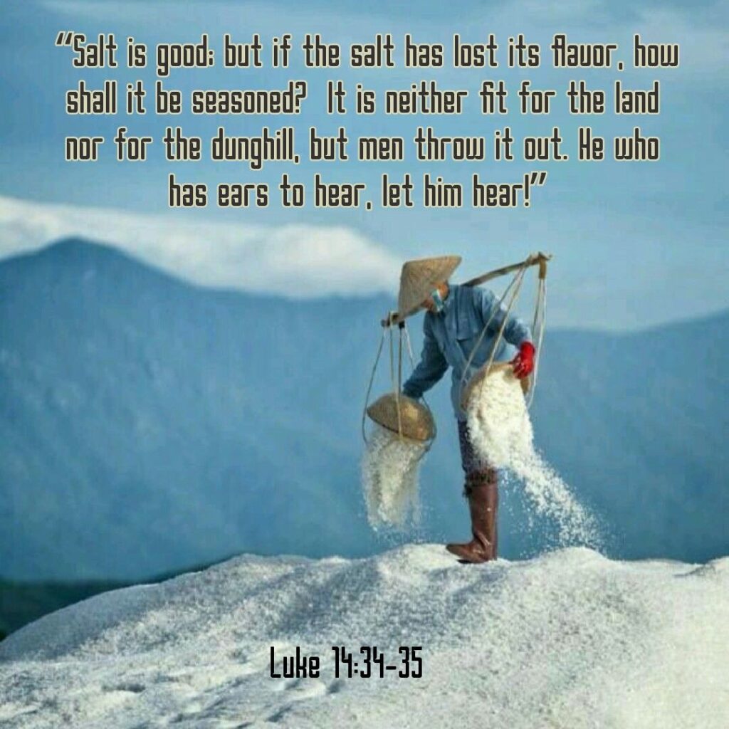 Luke 14 34 35 Daily Devotional In Christ