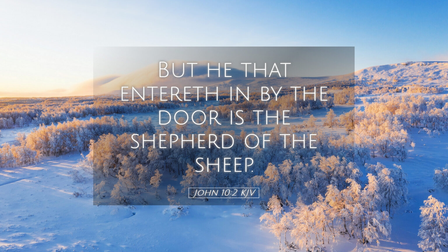 John 10 2 5 Daily Devotional In Christ john-10-2-5-daily-devotional-in-christ